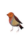 Hand Painted watercolor bird Illustration