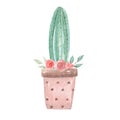 Cacti in Pots Watercolor Red Leaves Pink Floral Cactus Succulents Flowers