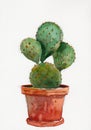 Watercolor illustration of cactus in pot Royalty Free Stock Photo