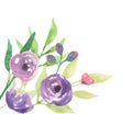 Watercolour Pink Purple Flower Circle Hand Painted Summer Corner Royalty Free Stock Photo