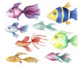 Hand painted watercolor cute fish set. Royalty Free Stock Photo
