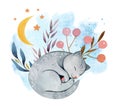 Hand painted watercolor cute sleeping cartoon cat composition Royalty Free Stock Photo