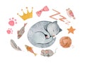 Hand painted watercolor cute sleeping cat composition with toys Royalty Free Stock Photo