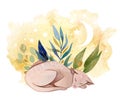 Hand painted watercolor cute sleeping cat composition Royalty Free Stock Photo