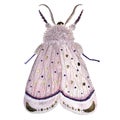 Hand painted watercolor delicate textured pink moth