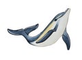 Hand painted watercolor dolphin illustration.Watercolor maritime character