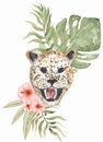 Hand painted watercolor exotic wild cat Leopard face and tropical florals clipart, Illustration of a realistic animal with jungle