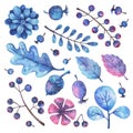 Hand painted watercolor floral elements set Royalty Free Stock Photo