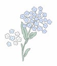 Flower Illustration pattern in simple background. Illustration flower in simple background. Royalty Free Stock Photo