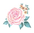 Hand Painted Watercolor Flower Vector. Vector Watercolor Flowers. Watercolor Rose Vector. Royalty Free Stock Photo