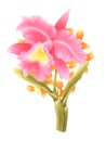 Hand painted watercolor flower. Watercolor orchid bouquet isolated on white background.With Clipping Path included. Illustration Royalty Free Stock Photo