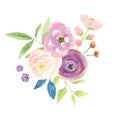 Watercolour Berries Bouquet Arrangement Pretty Pink Wedding Flowers Royalty Free Stock Photo