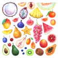 Hand painted watercolor fruits set Royalty Free Stock Photo