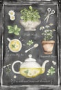Hand painted watercolor herbal tea composition on blackboard, tea time illustration: herbs, daisy, mint on the pot, tea leaves,
