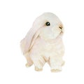 Bunny isolated on white background .Hand painted Watercolor illustration.