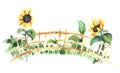 Hand painted watercolor illustration. Decorative vignette ornament. Rustic wicker fence. Two bright sunflower flowers. Sketchy