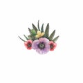 Watercolor illustration of floral arrangement with meadow flowers, poppies, leaves, buds Royalty Free Stock Photo