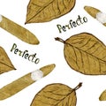 Perfecto cigar shape and tobacco leaf,