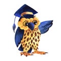 Hand painted watercolor illustration. A learned owl teacher in a cap of a master of science, points with a wing. Royalty Free Stock Photo