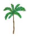 Watercolor palm tree