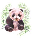 Hand painted watercolor illustration. Panda in the green branches.