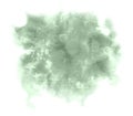 Hand painted watercolor liquid stain isolated on white. Green.