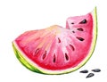 Hand painted watercolor melon slice with three seeds Royalty Free Stock Photo