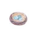 Hand-painted watercolor nest with three blue eggs isolated on white