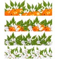 Hand painted watercolor orange blossom and fruits compositions Royalty Free Stock Photo