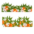 Hand painted watercolor orange blossom and fruits compositions Royalty Free Stock Photo