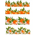 Hand painted watercolor orange blossom and fruits compositions Royalty Free Stock Photo