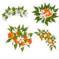 Hand painted watercolor orange blossom and fruits compositions Royalty Free Stock Photo