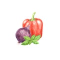 Watercolor paprika vegetable with green basil leaf and sweet purple onion isolated on white background.