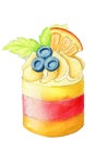 Hand painted watercolor rainbow layered cake with fruit and berries topping, cream, orange, mint leaf and blueberries