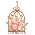 Hand painted watercolor rusty vintage bird cage with dirty pink roses flowers and green leaves branch. Provence style illustration Royalty Free Stock Photo