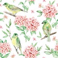 Watercolor seamless pattern: birds and flower, leaf, branch, isolated on background Royalty Free Stock Photo