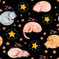 Hand painted watercolor seamless pattern with sleeping cats and stars