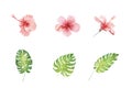 Watercolor set of tropical hibiscus flowers and monstera leaves isolated on white background. Royalty Free Stock Photo