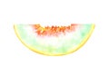 Hand painted watercolor slice of melon