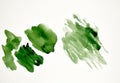 Hand painted watercolor stain , green color brush strokes on white paper Royalty Free Stock Photo