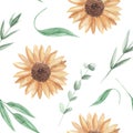 Sunflowers Watercolor Seamless Pattern Flowers White Roses Royalty Free Stock Photo