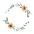 Sunflowers Watercolor Wreath Garland Clipart Flowers White Roses Royalty Free Stock Photo