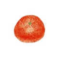 Hand painted watercolor tangerine mandarin isolated on white background.