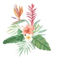 Watercolor Floral Bird of Paradise Flowers Leaves Plumeria Tropical Hibiscus