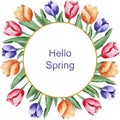 Hand Painted Watercolor Tulips Frame. Royalty Free Stock Photo