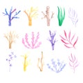 Hand-painted watercolors of seaweed and coral