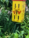 Yellow birdhouse in flower garden