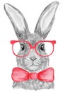 Hand painting grey bunny in glasses and hat illustration. Watercolor rabbit isolated on white background. Royalty Free Stock Photo