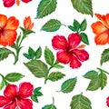 Hand painting seamless background pattern inspired by Tropical houseplants Hibiscus flower