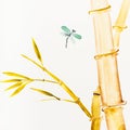 Dragonfly flies near bamboo drawn by watercolors